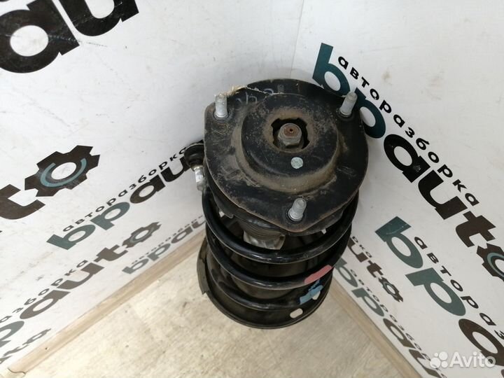 Стойка амортизационная передняя правая 48510-80309