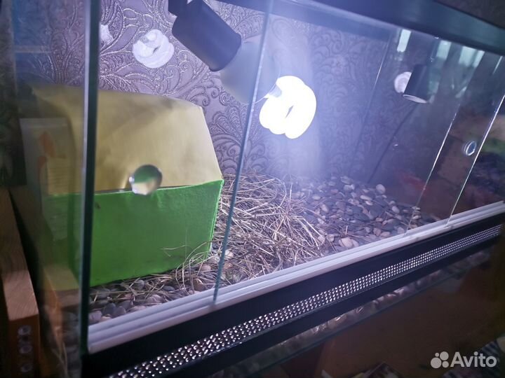 Террариум для сухопутной черепахи 60*30*30