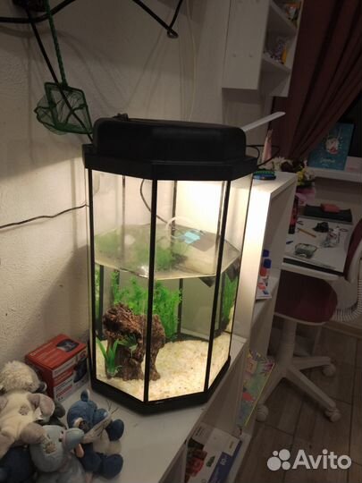 Аквариум с фильтром и светом