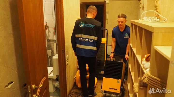 Просушка после затопления. Уборка после пожара, чп