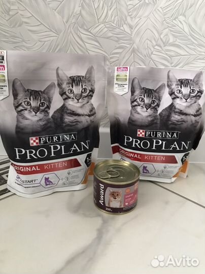 Корм для котят