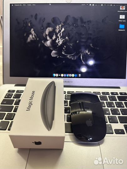 Apple Magic Mouse 2 Space Grey (mrme2ZM/A)