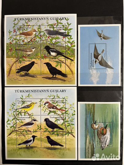 2002 г. Туркмения. Фауна