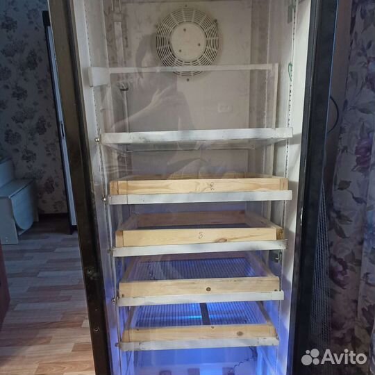 Инкубатор для яиц