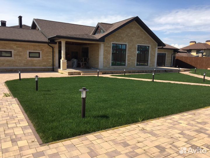 Рулонный газон 