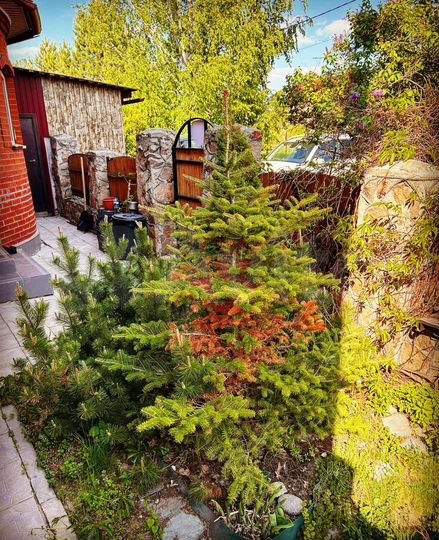 Дом 200 м² на участке 9 сот.