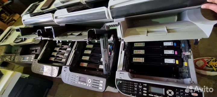 Принтеры Ricon mfu,цветники