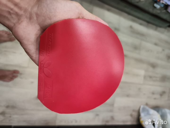 Butterfly tenergy 05