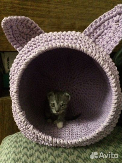 Домик для кошек