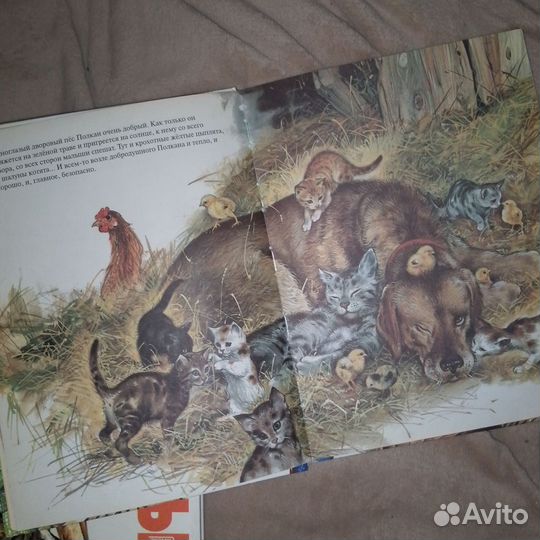 Атлас животных книги