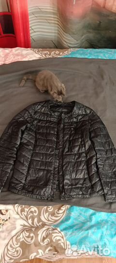 Женские вещи пакетом 42 44