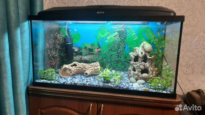 Продам аквариум с тумбой