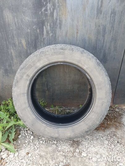 Bridgestone Blizzak DM-V1 225/65 R17