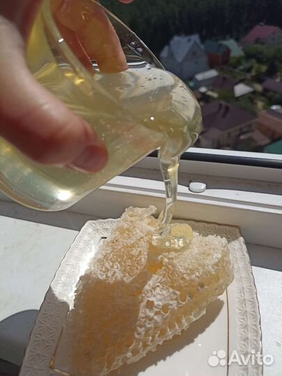 Мëд акация, мёд в сотах, забрус