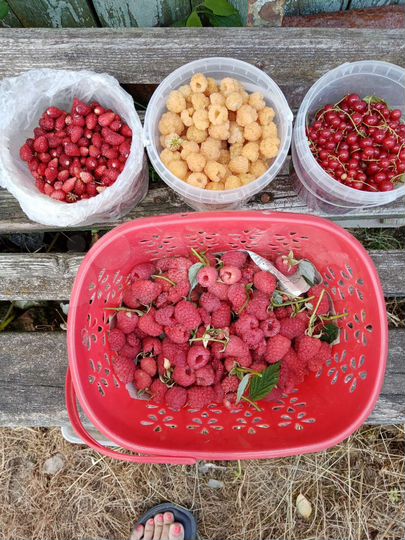 Дача 36 м² на участке 6 сот.