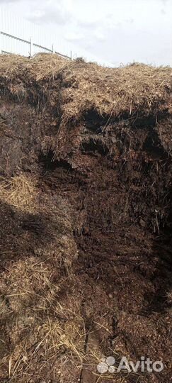 Перегной конский бесплатно