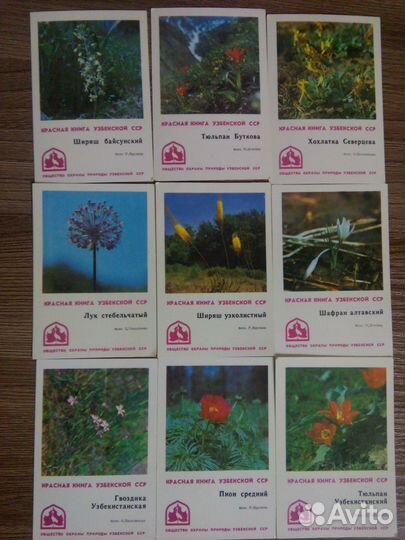 Календарики Красная книга узсср Узбекистана