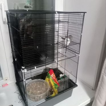 Клетка для грызунов