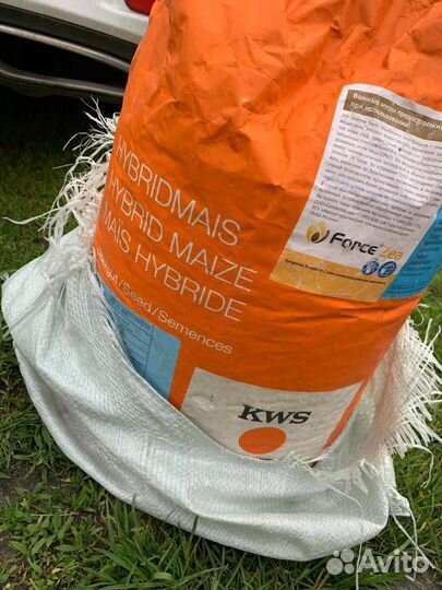 Семена подсолнечника и семена кукурузы