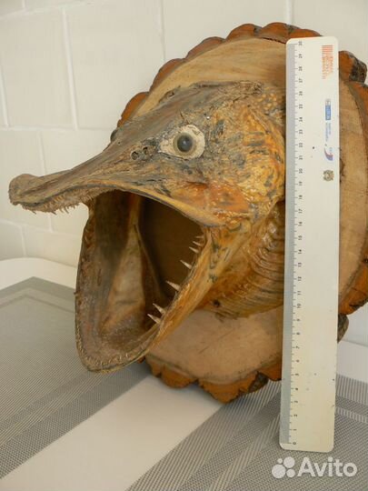 Чучело щуки