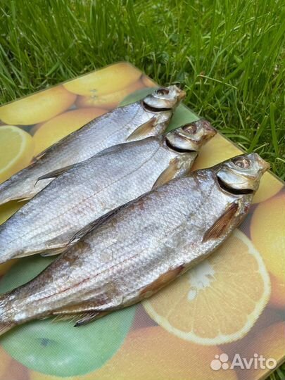 Копченая и вяленая рыба