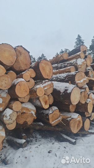 Лес кругляк