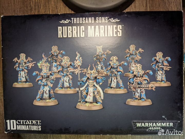 Rubric Marines