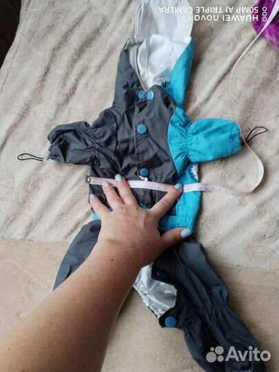 Дождевик для маленькой собаки