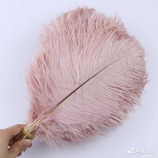 Страусиное перо 10-15 см