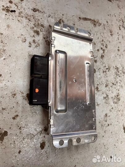 Эбу на Калину,Гранту