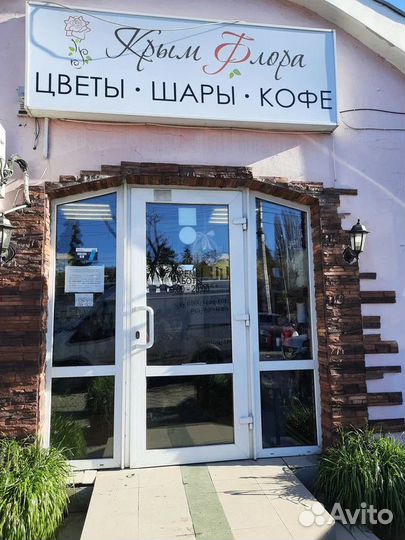 Комнатные растения цветы шары, магазин цветов