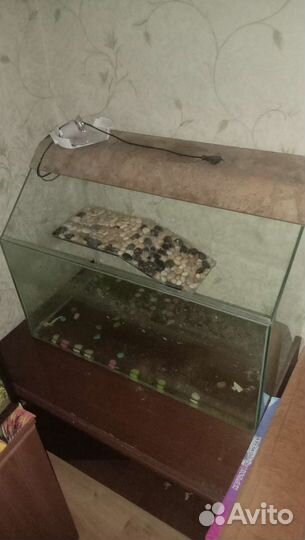Аквариум для красноухой черепахи