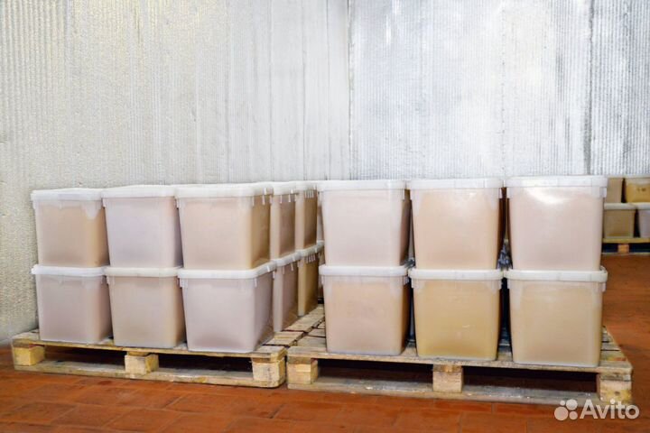 Мёд 2023г с доставкой