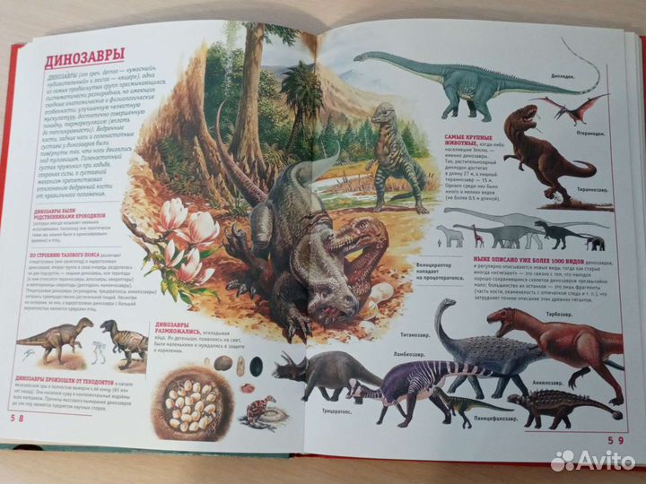 Детская энциклопедия