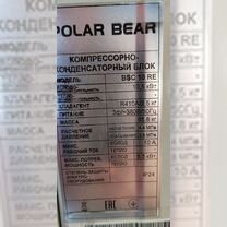 Ккб Polar bear bsc 10 re