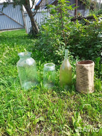 Четверть стеклянная, банки с широким горлом