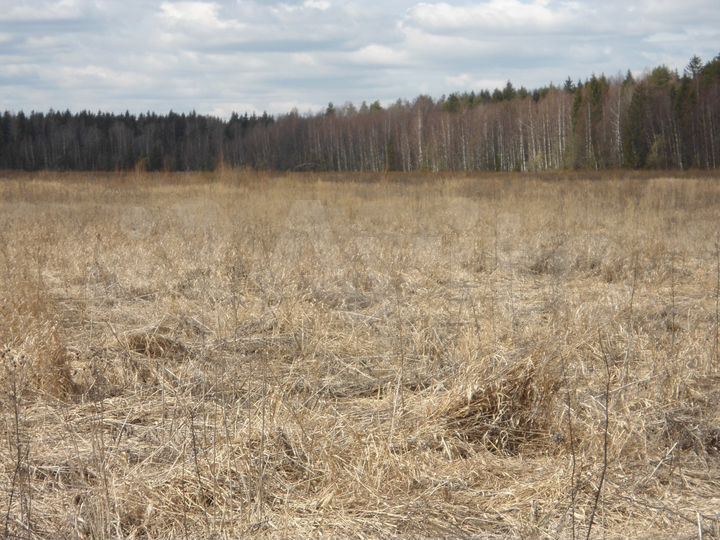 Участок 13,28 га (СНТ, ДНП)