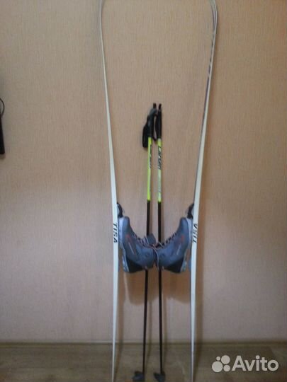 Лыжи беговые tisa sport step blue c ботинками