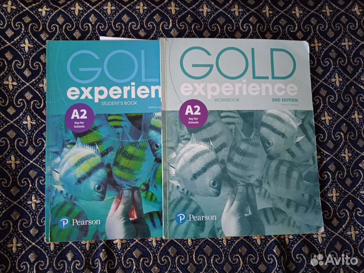 Ученики Cambridge English 2018-2023