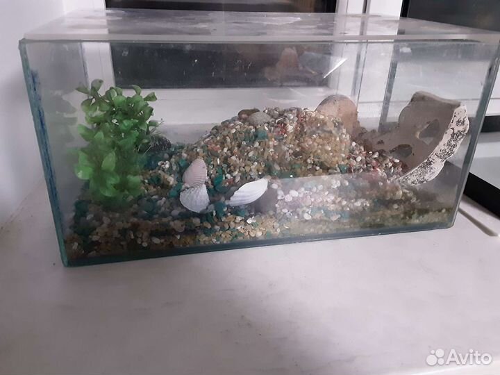 Аквариум 20 л с крышкой фильтр водогрей доставка