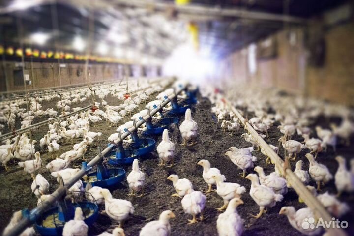 Подсобный рабочий