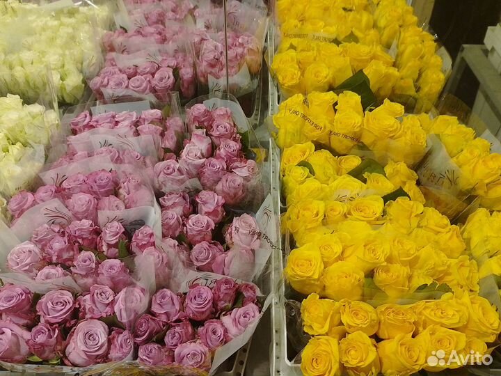 Роза Кения, букеты