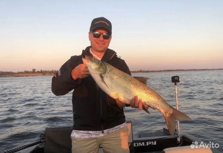 Рыбалка Волгоград (гид, егерь)