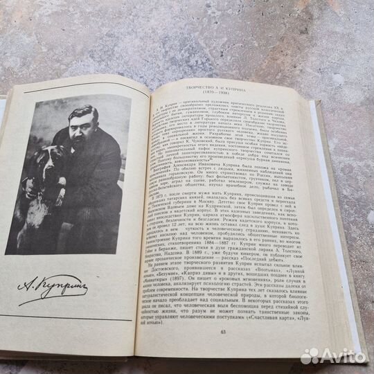 История русской литературы конца 19 начала 20 века