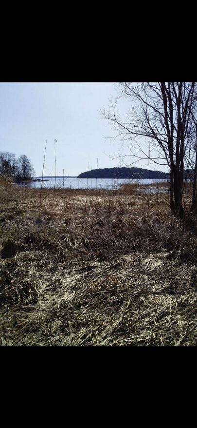 Участок 1,59 га (СНТ, ДНП)