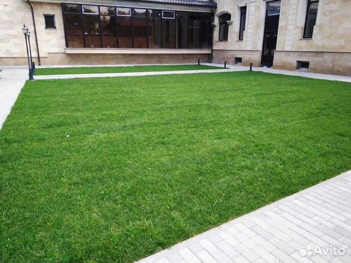 Рулонный газон напрямую от производителя