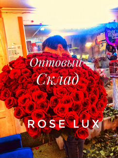 Розы 101 штука premium