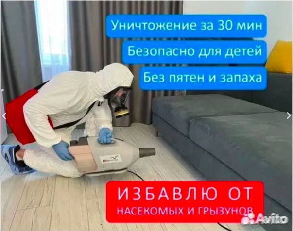 Обработка от тараканов клопов и муравьев