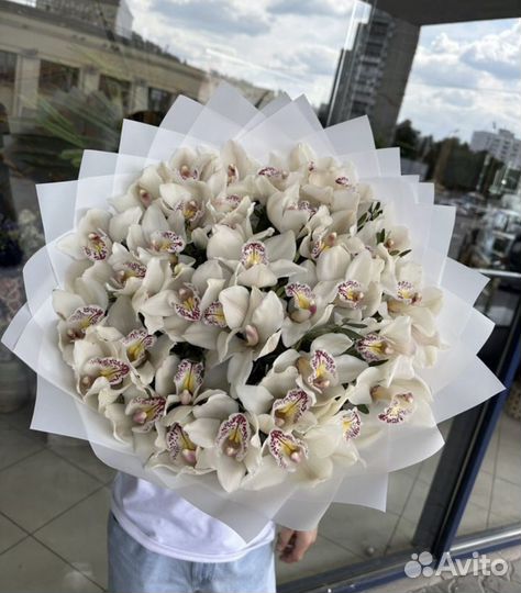 Цветы орхидеи букеты