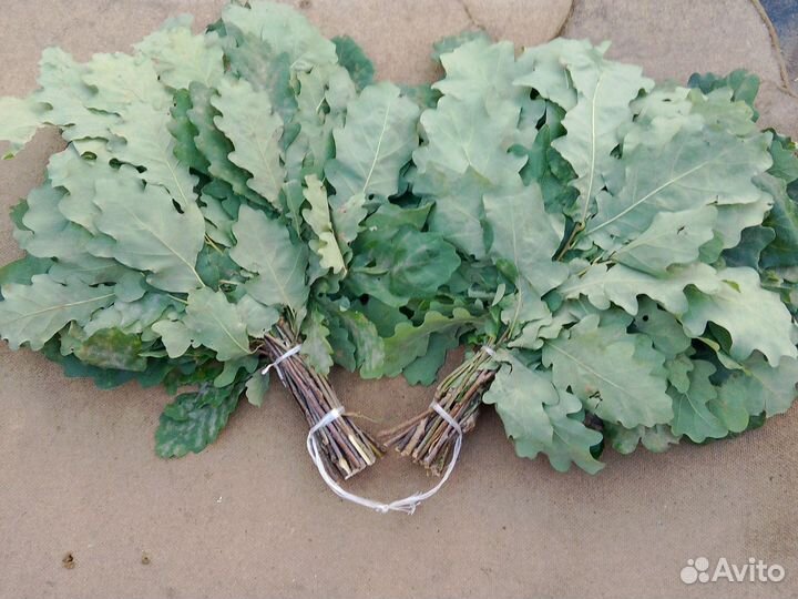 Веники для бани дуб береза липа клен